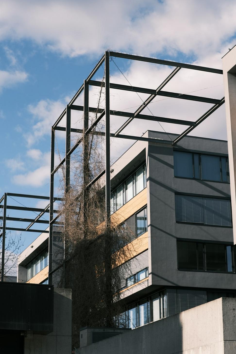 Contemporary Steel Structure